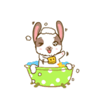 Shabu The Rabbit（個別スタンプ：20）