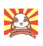 Shabu The Rabbit（個別スタンプ：22）