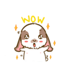 Shabu The Rabbit（個別スタンプ：23）