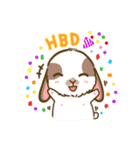 Shabu The Rabbit（個別スタンプ：24）
