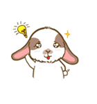 Shabu The Rabbit（個別スタンプ：29）