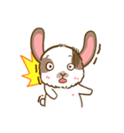 Shabu The Rabbit（個別スタンプ：31）