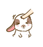 Shabu The Rabbit（個別スタンプ：35）