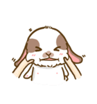 Shabu The Rabbit（個別スタンプ：36）