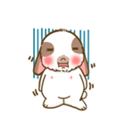 Shabu The Rabbit（個別スタンプ：39）