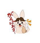 ネコ兎（個別スタンプ：12）