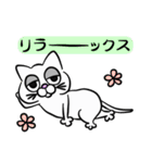 だる猫ー次郎ー（個別スタンプ：14）