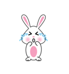 Khmer Cutie Rabbit (SSK)（個別スタンプ：8）