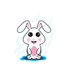 Khmer Cutie Rabbit (SSK)（個別スタンプ：16）