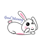 Khmer Cutie Rabbit (SSK)（個別スタンプ：20）
