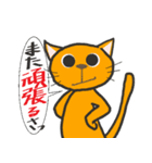 強がり猫のオレンジ（個別スタンプ：33）