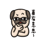 Pug in the house（個別スタンプ：5）