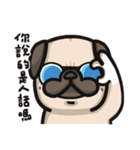 Pug in the house（個別スタンプ：21）