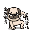 Pug in the house（個別スタンプ：23）