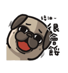 Pug in the house（個別スタンプ：25）