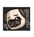 Pug in the house（個別スタンプ：29）