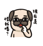 Pug in the house（個別スタンプ：35）