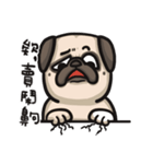 Pug in the house（個別スタンプ：40）