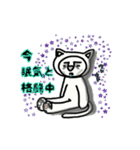 ねこた～使えるひとこと～（個別スタンプ：19）