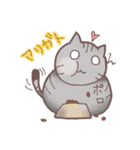 猫会話Vol.2(Darume Cat's)（個別スタンプ：2）