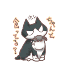 猫会話Vol.2(Darume Cat's)（個別スタンプ：3）