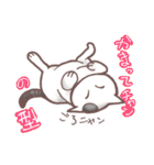 猫会話Vol.2(Darume Cat's)（個別スタンプ：6）