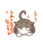 猫会話Vol.2(Darume Cat's)（個別スタンプ：8）
