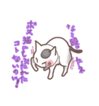 猫会話Vol.2(Darume Cat's)（個別スタンプ：13）