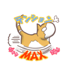 猫会話Vol.2(Darume Cat's)（個別スタンプ：24）