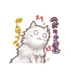 猫会話Vol.2(Darume Cat's)（個別スタンプ：31）