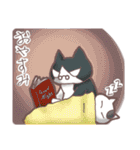 猫会話Vol.2(Darume Cat's)（個別スタンプ：38）