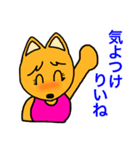 博多弁でしゃべるきつねたち（個別スタンプ：23）