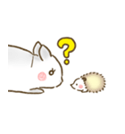 うさぎのロッキー（個別スタンプ：1）