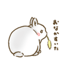 うさぎのロッキー（個別スタンプ：9）