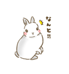 うさぎのロッキー（個別スタンプ：40）