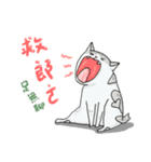 Sugar ＆ Sweetie - the ordinary life（個別スタンプ：15）