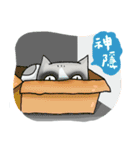Sugar ＆ Sweetie - the ordinary life（個別スタンプ：36）