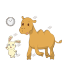 Bunny and Camel（個別スタンプ：20）