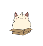 Ayakat（個別スタンプ：5）