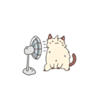 Ayakat（個別スタンプ：14）