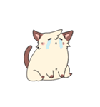 Ayakat（個別スタンプ：17）