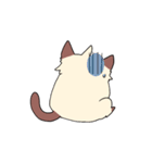 Ayakat（個別スタンプ：18）