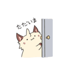 Ayakat（個別スタンプ：34）