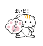 まんじゅうな感じで・・スコの日常（個別スタンプ：16）