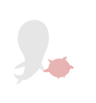 Pigs and seals（個別スタンプ：40）