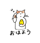 無難な猫さんスタンプ 6（個別スタンプ：1）