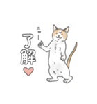 猫三昧【よく使う言葉編】（個別スタンプ：2）