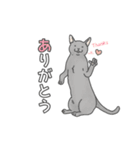 猫三昧【よく使う言葉編】（個別スタンプ：4）