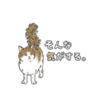 猫三昧【よく使う言葉編】（個別スタンプ：8）