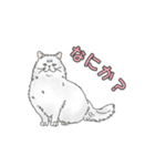 猫三昧【よく使う言葉編】（個別スタンプ：9）